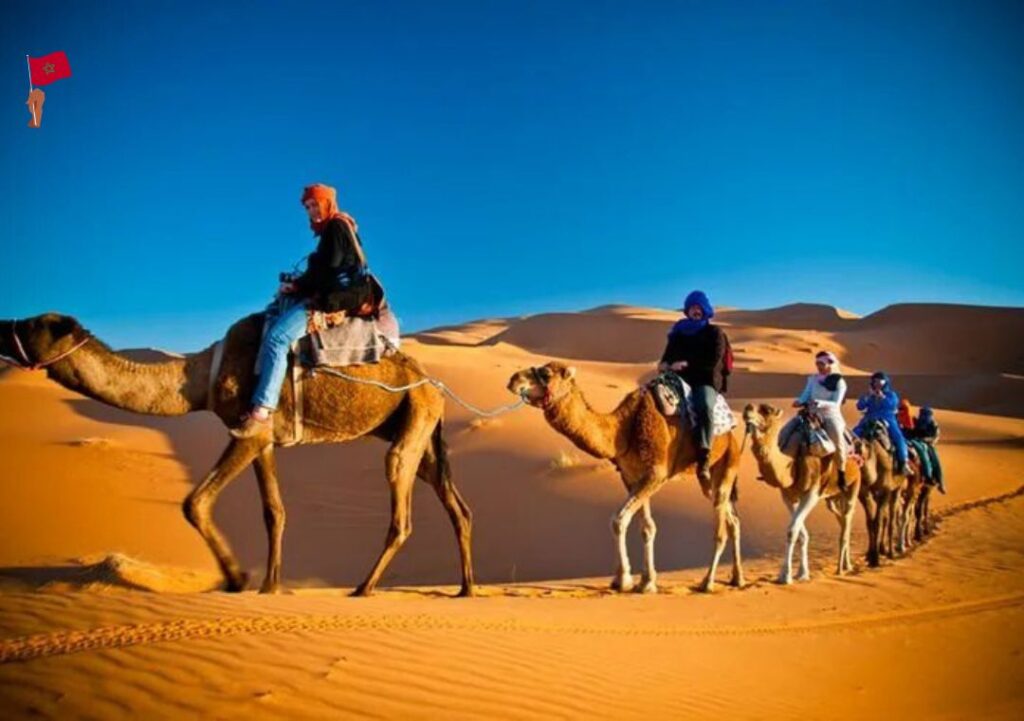 Excursion désert Agadir vers Zagora – lever de soleil et balade à dos de chameau
