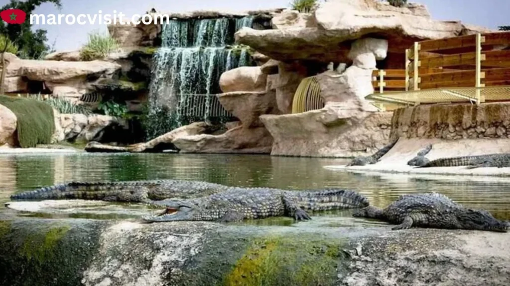   Crocodile Park of Massa — Wildlife at Its Most Thrilling