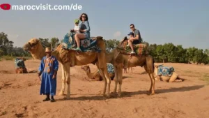 Mehr über den Artikel erfahren Agadir mit der Familie — 15 Top-Aktivitäten für den Familienurlaub 2026