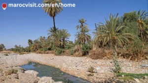 Read more about the article Tioute Oasis Morocco: The Ultimate Travel Guide 2026 | Hidden Gem Near Taroudant