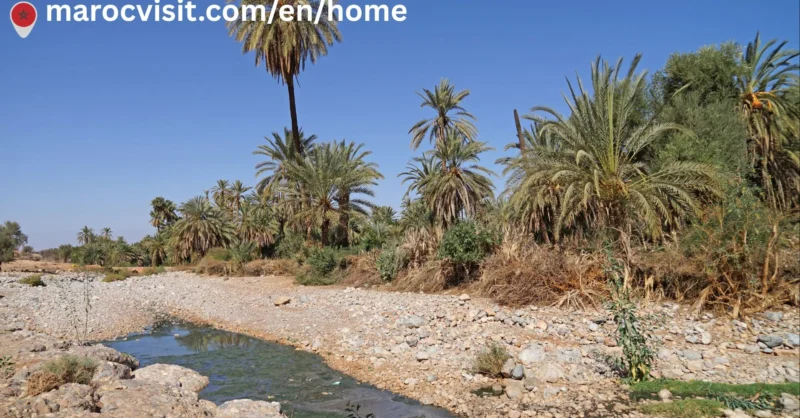Tioute Oasis Morocco: The Ultimate Travel Guide 2026 | Hidden Gem Near Taroudant