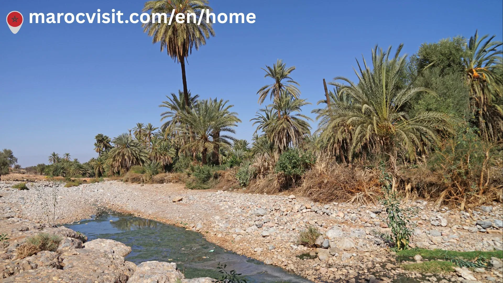 You are currently viewing Tioute Oasis Morocco: The Ultimate Travel Guide 2026 | Hidden Gem Near Taroudant